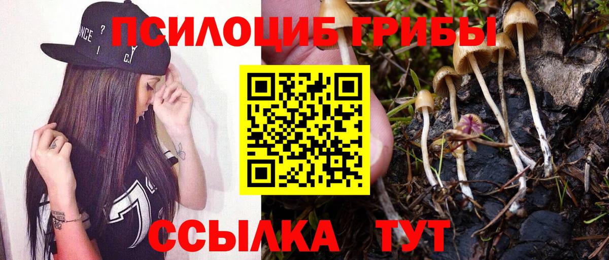 Химки  купить наркоту  Вход с VPN  Псилоцибиновые грибы мицелий 